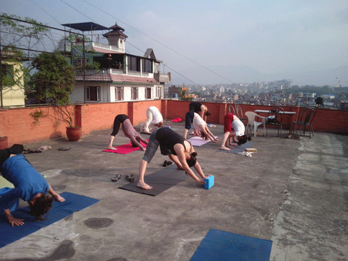 École Satyam de Hatha Yoga - Écoles et cours de yoga