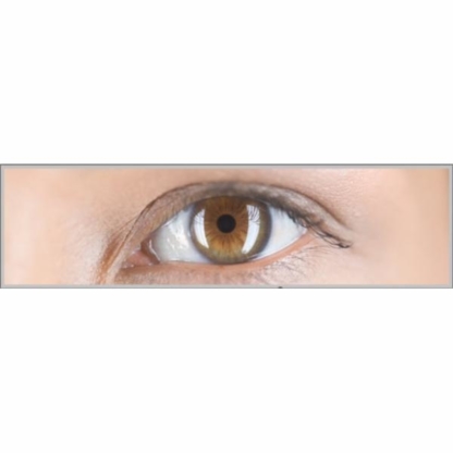 Mayfield Eye Centre - Vision & Eye Care