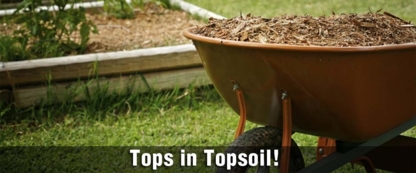 Delta Topsoil - Topsoil