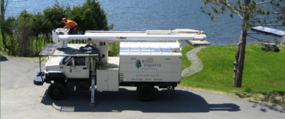 Arbor Experts - Tree Consultants