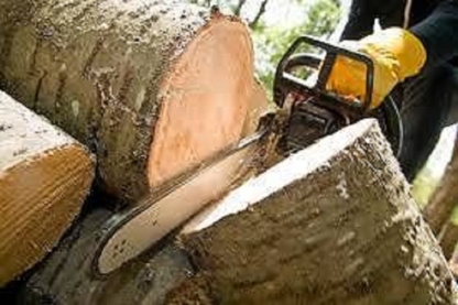 Top Notch Tree Services - Tree Service