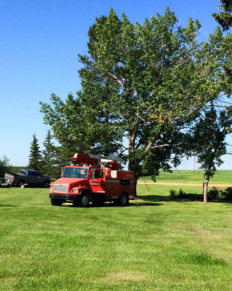 Razors Edge Tree Service - Tree Service