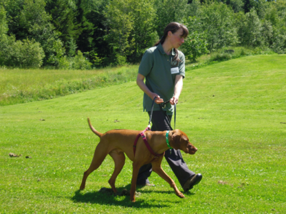 Les Grands Versants - Services pour animaux de compagnie