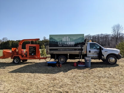 Collingwood Tree Specialists - Service d'entretien d'arbres