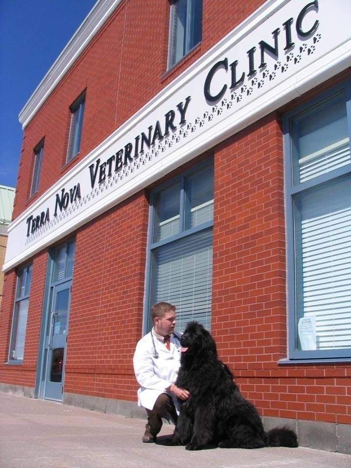 The Terra Nova Veterinary Clinic - Vétérinaires