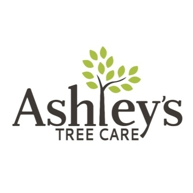 Ashleys Tree Care - Service d'entretien d'arbres