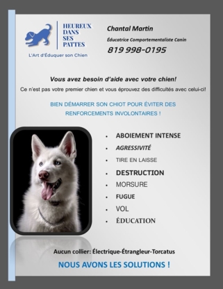 Heureux Dans Ses Pattes - Dog Training & Pet Obedience Schools