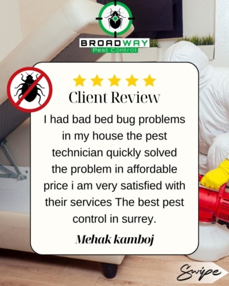 Broadway Pest Control - Best Pest Control Service in Surrey | Exterminator, Rodent Control & Pest Control Surrey BC - Pest Control Services
