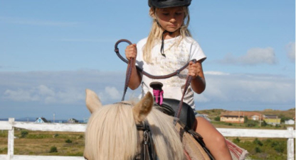 Centre Equestre La Crinière Au Vent - Écoles et cours d'équitation