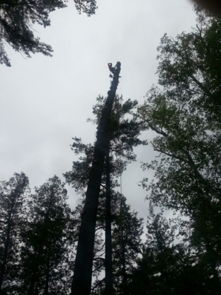 Great Canadian Tree - Service d'entretien d'arbres
