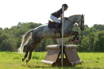 Pinegrove Farm - Écoles et cours d'équitation