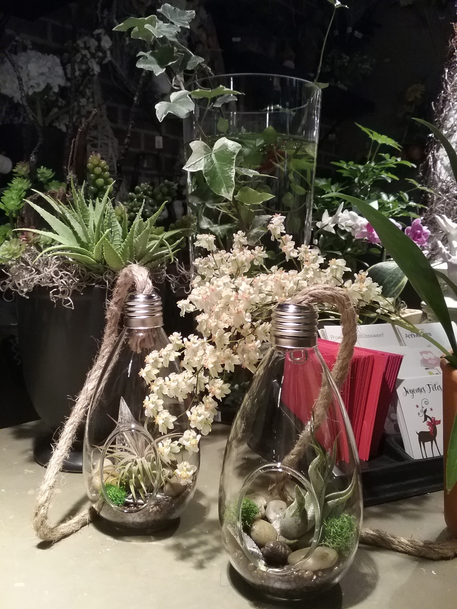 Fleuriste Fleurs de Cactus Horaire d'ouverture 317, boul Sir