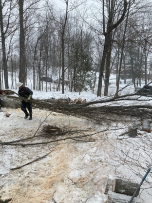 Tree Walkers Professional Tree Care - Service d'entretien d'arbres