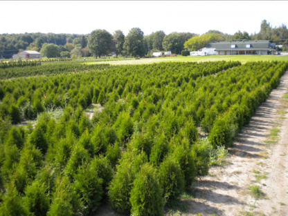 Cèdres Dupont Inc - Pépinières et arboriculteurs