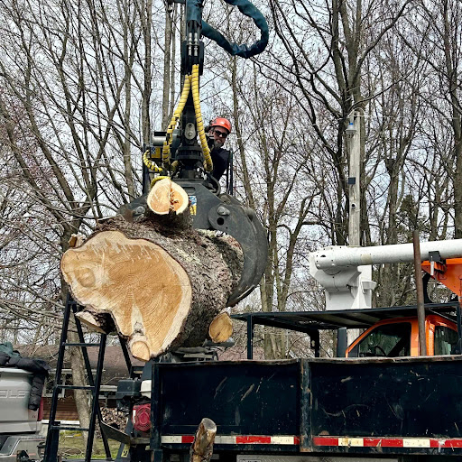Émondage Arboxygène - Élagage, Abattage, Déboisement Granby - Service d'entretien d'arbres