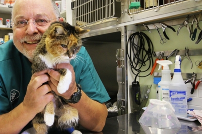 Little Paws Animal Clinic - Vétérinaires