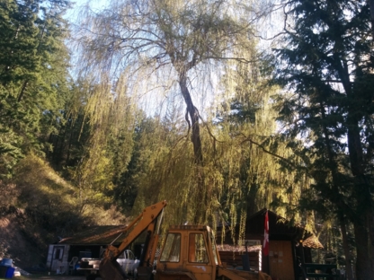 All In 1 Tree Service - Tree Service