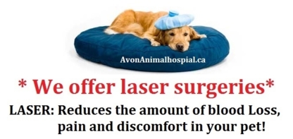 Avon Animal Hospital - Vétérinaires