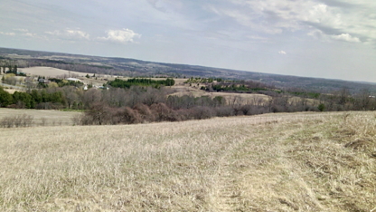 View Turtle Crik Tree Farms’s Ajax profile