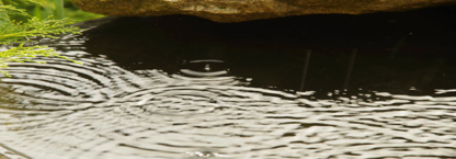 AlopPluvia Integrated Water Resources Management Ltd - Management Consultants