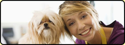 Hot Dogz Grooming & Daycare Ltd - Dog Training & Pet Obedience Schools