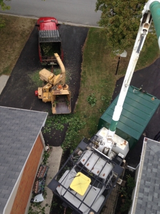 Millignton Tree Service - Service d'entretien d'arbres