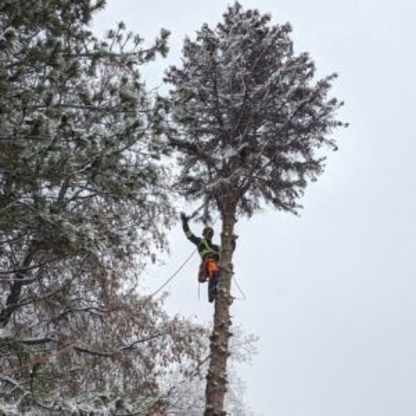 Penner Trees - Service d'entretien d'arbres