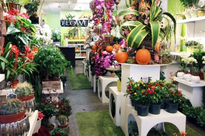 Flowerz Co - Fleuristes et magasins de fleurs