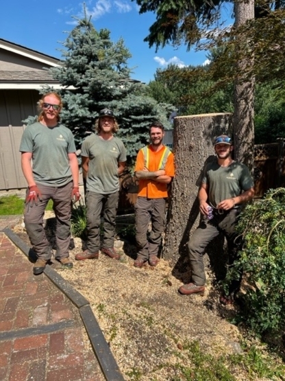 West Kootenay Arborist - Tree Service