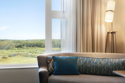 Hotel Dene & Conference Centre - Hôtels