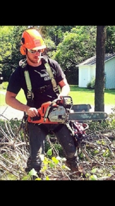 Arboriculture Turcotte - Service d'entretien d'arbres