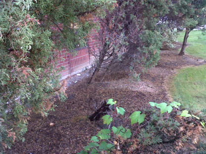 Gear's Ink Landscape Design - Landscape Contractors & Designers