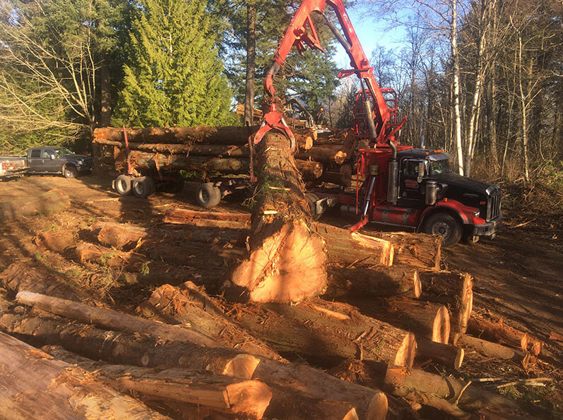 S A S Logging & Tree Service - Service d'entretien d'arbres
