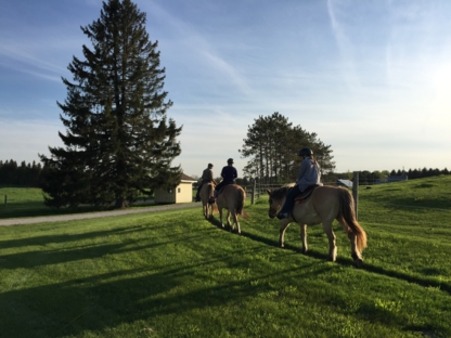 Pathways On Pleasure Valley - Écoles et cours d'équitation