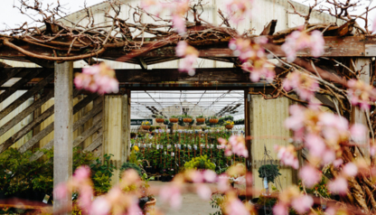 Campbell River Garden Centre - Centres du jardin