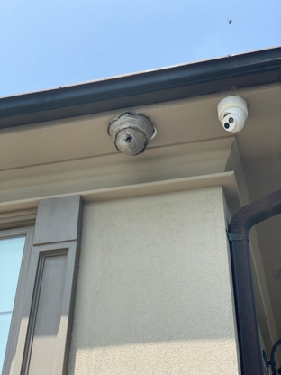 Pestline Pest Control Vaughan - Pest Control Services