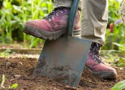 Chris's Property Maintenance - Lawn Maintenance