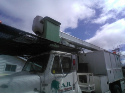 AJL Tree Service - Tree Service