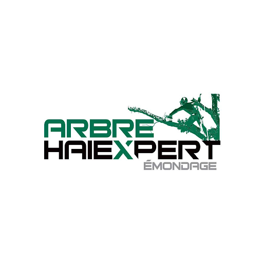 Arbre Haiexpert - Élagage, Émondeur, Abattage d'arbre - Tree Service