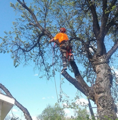 Nate's Tree Care - Service d'entretien d'arbres