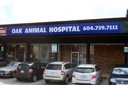 Oak Animal Hospital - Garderie d'animaux de compagnie