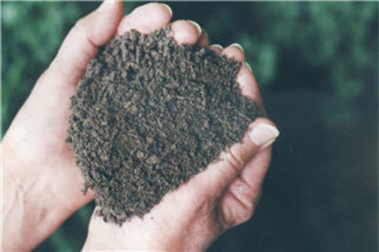 Plants Choice - Topsoil