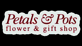 Petals 'N Pots - Florists & Flower Shops