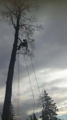 Alberta Professional Tree Care & Removal - Service d'entretien d'arbres