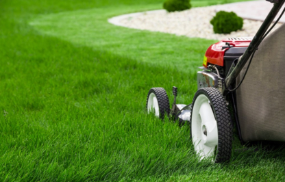 Dempseys Lawn Care - Lawn Maintenance