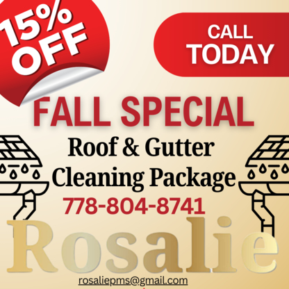 Rosalie Preventative Maintenance Services - Eavestroughing & Gutters