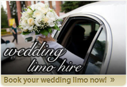 Executive Limousine Inc - Limousine Service