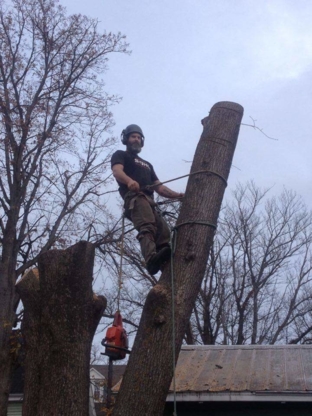 Jay Fulton Tree Service - Service d'entretien d'arbres