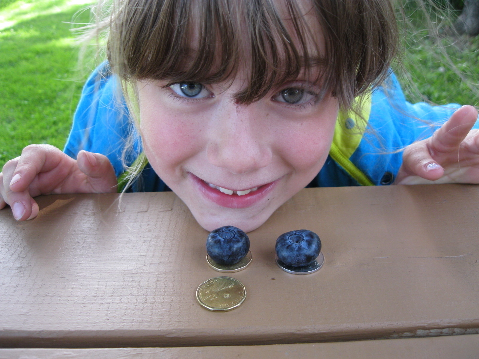 Bluetière Maurice Houle - Producteurs et distributeurs de fruits et légumes