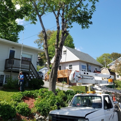View Harbour City Tree Trimming’s Fredericton profile